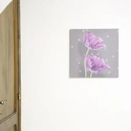 Corte De Tomasi- Centro Storico Daire Gallipoli