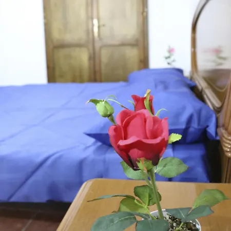 Corte De Tomasi- Centro Storico Daire *